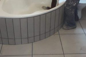 commercial-maintenance-projects